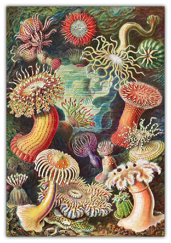 Haeckel"s Ocean Plants Jigsaw Puzzle